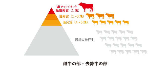 image:Kobe Beef (Kobe Beef Cattle)
