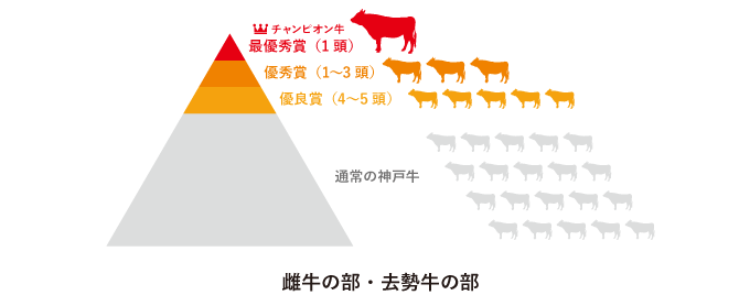 イメージ:神戸ビーフ（神戸牛）