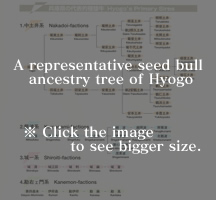 系統図