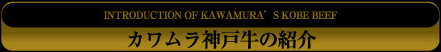 カワムラ神戸牛の紹介