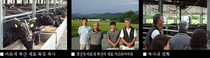 고베규의 고향에 다녀 왔습니다.
