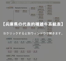 系統図