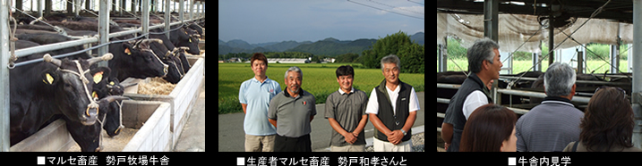 マルセ畜産見学