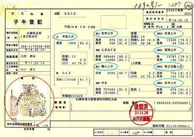 子牛登記