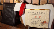 Kobe Beef Cattle and Tajima Beef Cattle