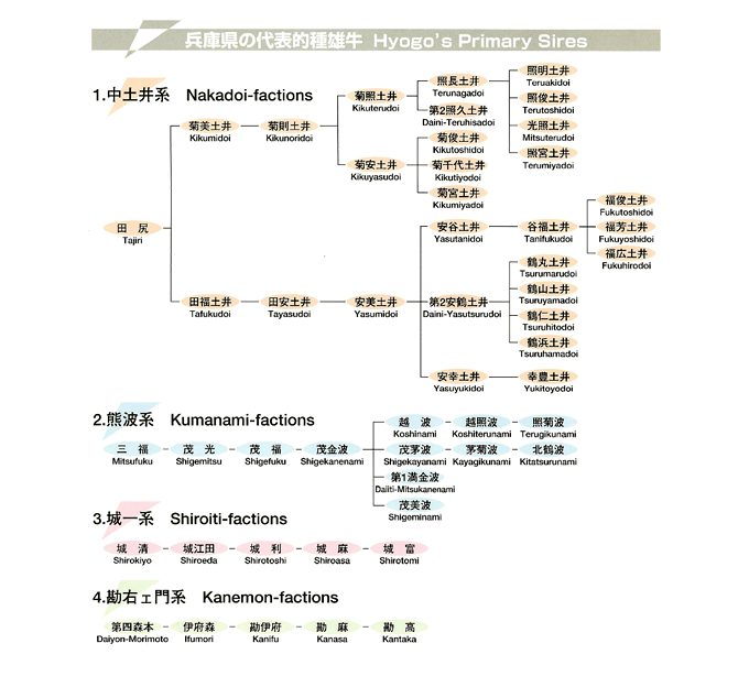 図:神户牛肉的定义01