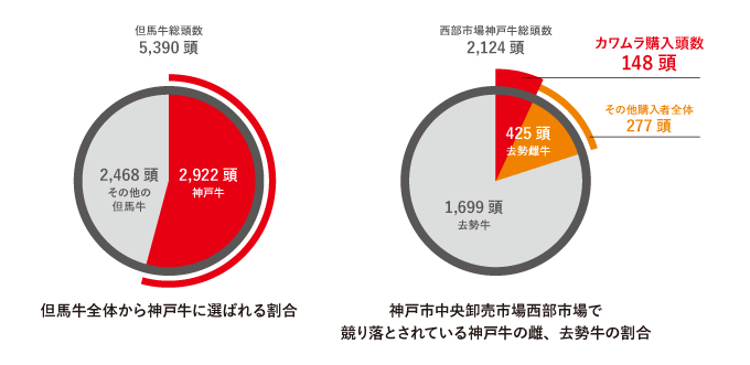 イメージ:割合