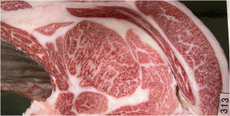 2022 THE KOBE BEEF CONTEST