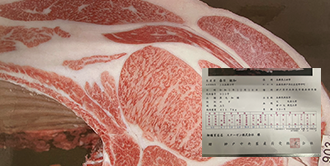 2023 Tajima Beef Day Study Group