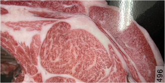 最优秀奖(冠军)获奖牛 2023 Kobe Beef Kyoreikai