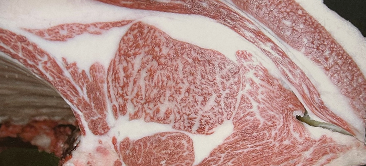 画像:優等賞　受賞牛 第98回 神戸牛枝肉共励会