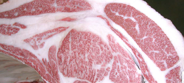 画像:最優秀賞(チャンピオン)受賞牛 令和6年度(243回) 神戸牛枝肉共励会