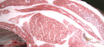 画像:最優秀賞(チャンピオン)受賞牛 第29回 肉のマルセ枝肉研究会