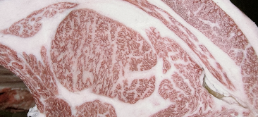 画像:優秀賞　受賞牛 家畜事業神戸ビーフ共励会