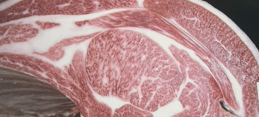 最优秀奖(冠军)获奖牛 Zenchikuren Kobe beef Grand champion kyoreikai