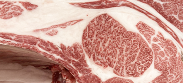 最优秀奖(冠军)获奖牛 41th Awaji Wagyu kyoureikai