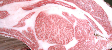 优秀奖 获奖牛 247th Kobe Beef Kyoreikai