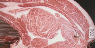 42th Awaji Wagyu kyoreikai