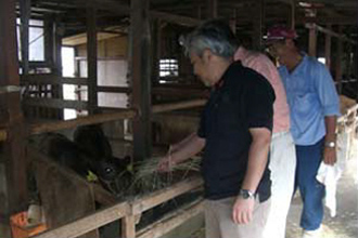 img:Visiting Harada Ranch