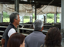 photo:Tour in cattle shed