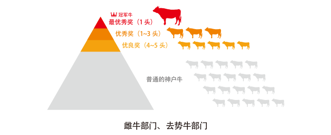 img:神户牛肉（神户牛）