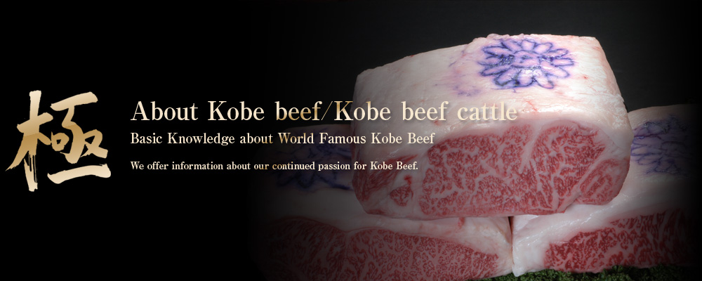 極 About Kobe beef/Kobe beef cattle Basic Knowledge about World Famous Kobe Beef