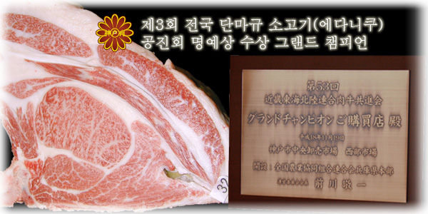 The 53rd Kinki-Tokai-Hokuriku Joint Beef Cattle Competitive Exhibition